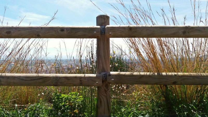 Natural Bamboo Fence